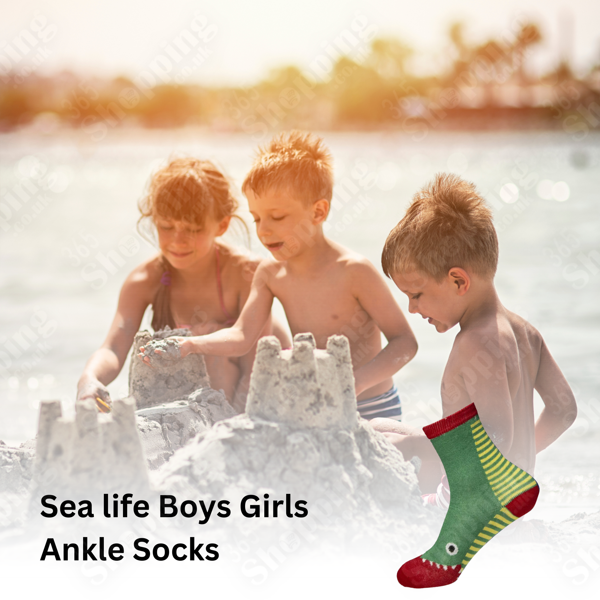 6 Pairs Kids Socks Boys Ankle Socks Children Socks Sea Life Design Docks 365shopping.co.uk